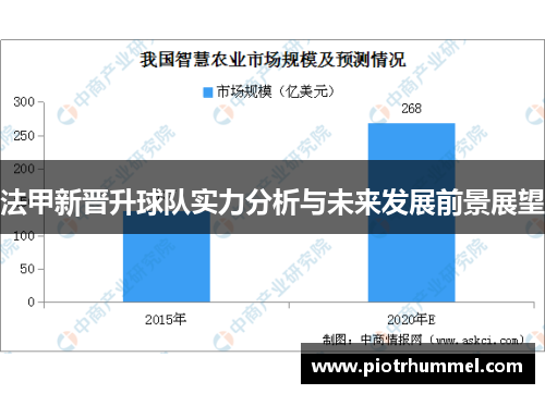 法甲新晋升球队实力分析与未来发展前景展望