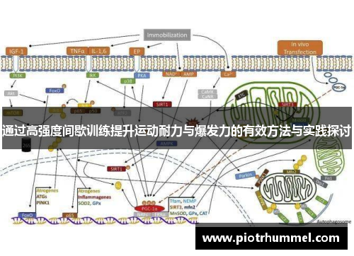 通过高强度间歇训练提升运动耐力与爆发力的有效方法与实践探讨